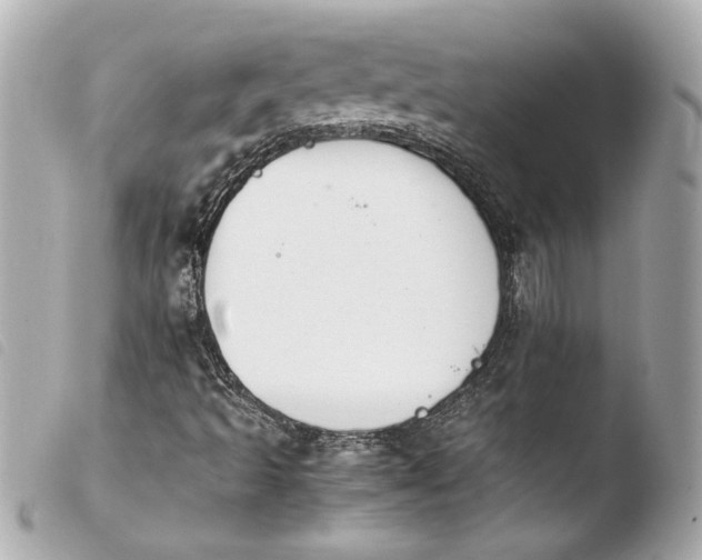 X0000103901493200810031136