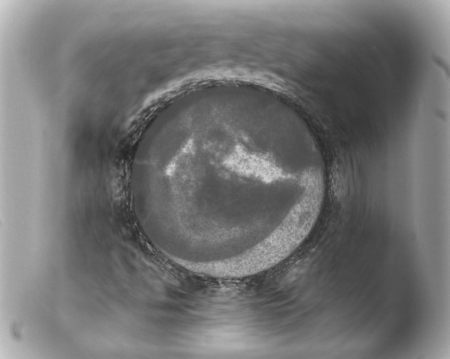 X0000103901494200810031136