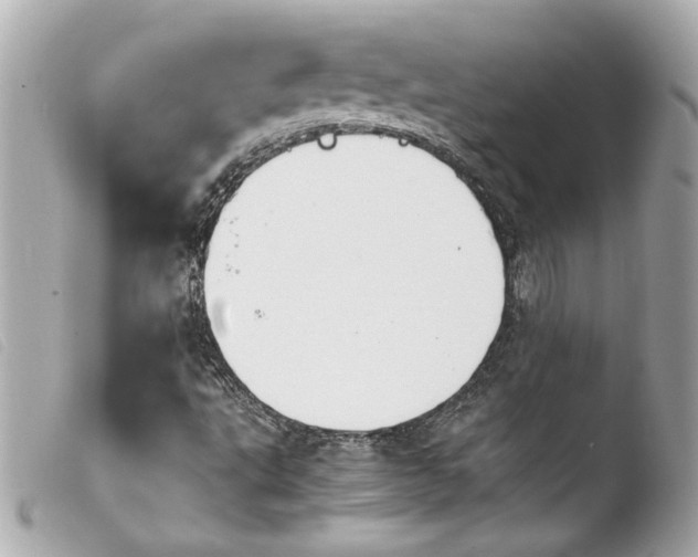 X0000103901495200810031136