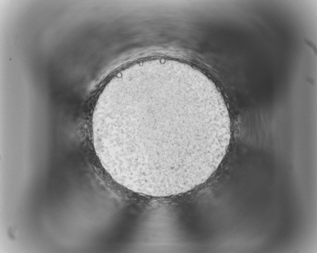 X0000103901496200810031136