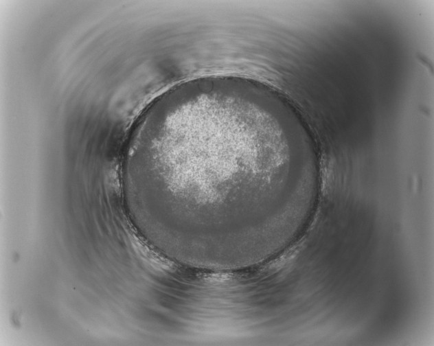 X0000103901497200810031136