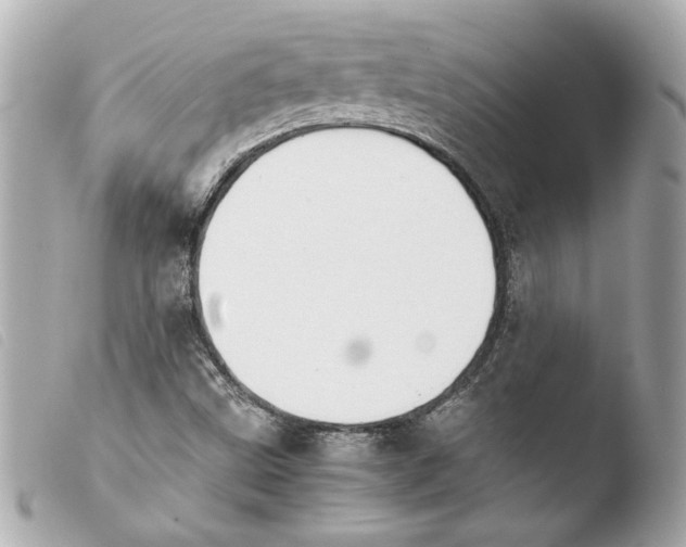 X0000103901499200810031136