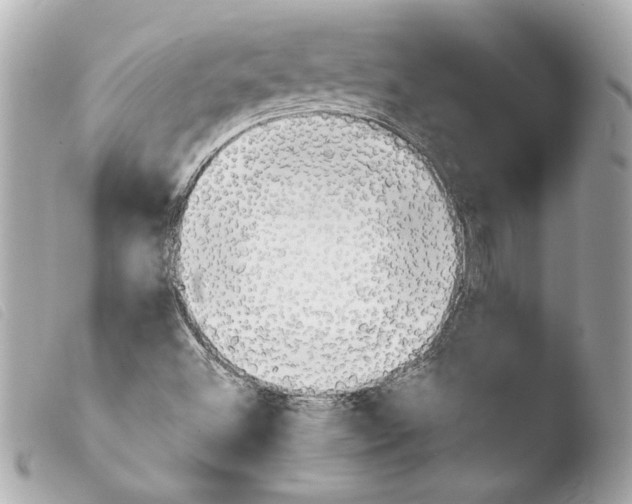 X0000103901500200810031136