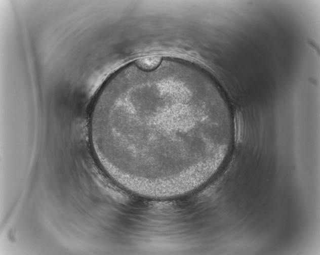 X0000103901501200810031136