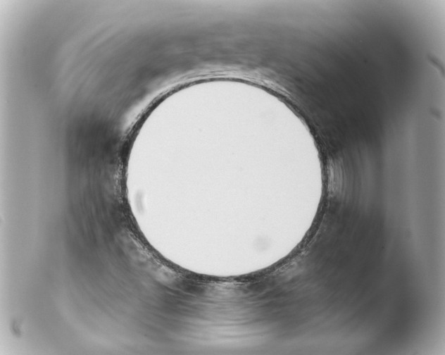 X0000103901502200810031136