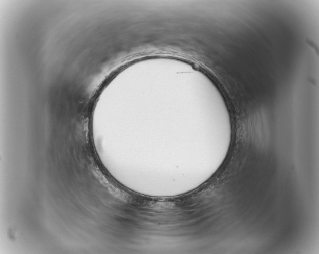 X0000103901503200810031136