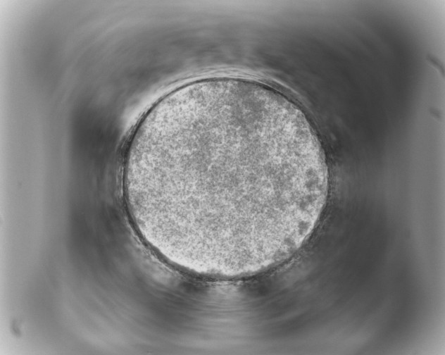 X0000103901504200810031136