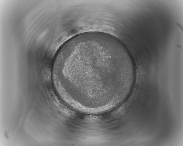 X0000103901505200810031136