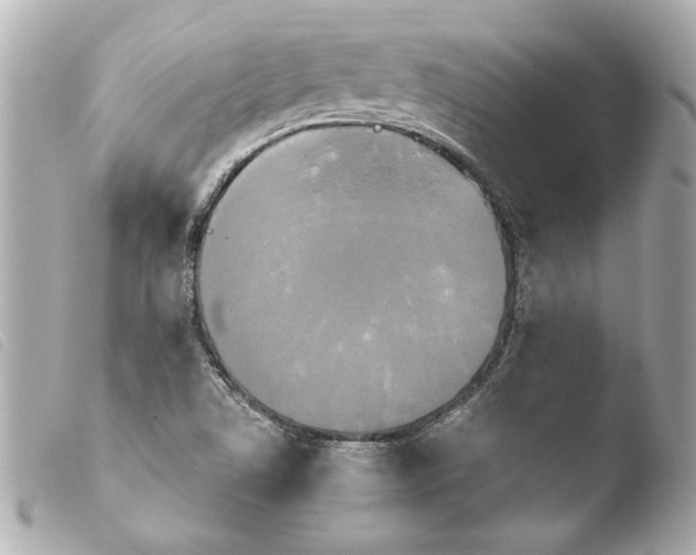 X0000103901506200810031136