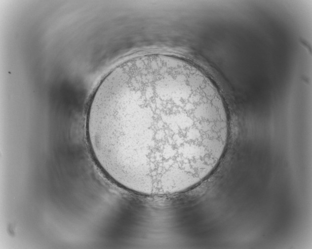 X0000103901508200810031136