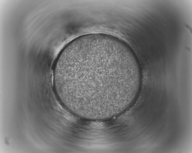 X0000103901509200810031136