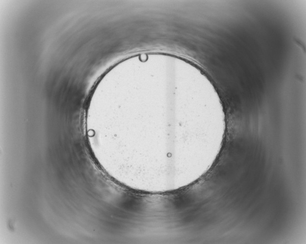 X0000103901510200810031136