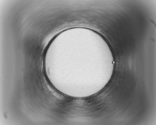 X0000103901511200810031136