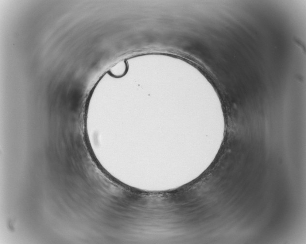 X0000103901512200810031136