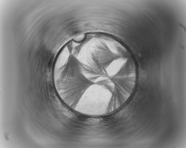 X0000103901513200810031136