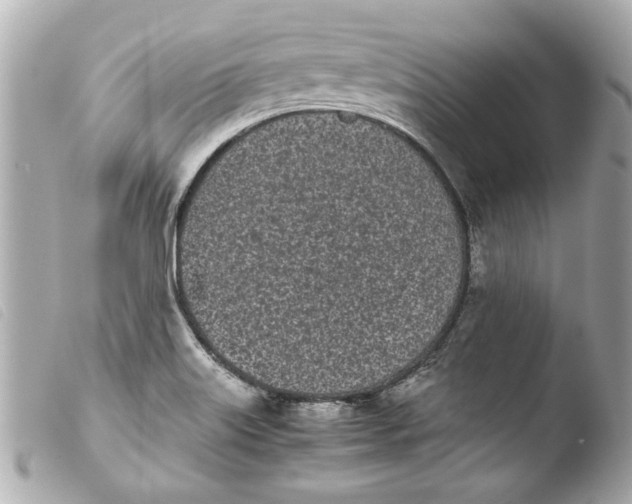 X0000103901515200810031137