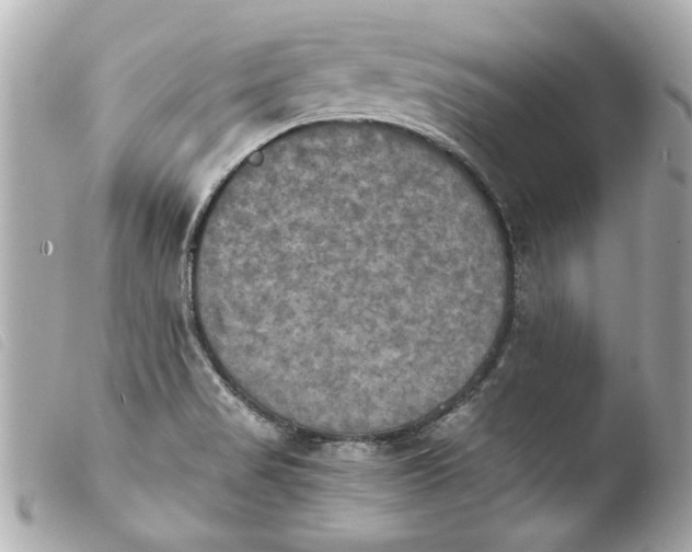 X0000103901517200810031137