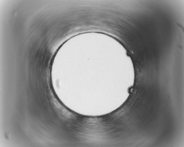 X0000103901518200810031137