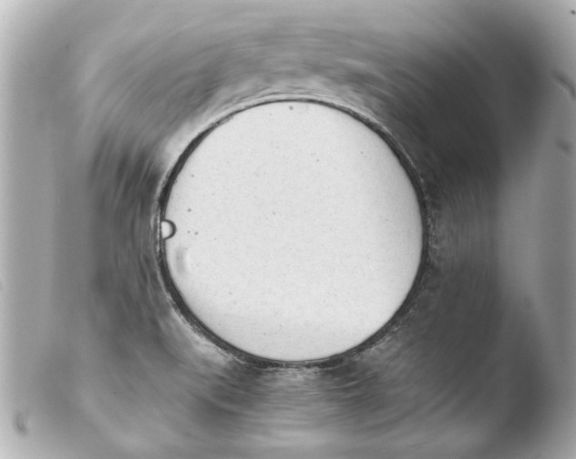 X0000103901519200810031137