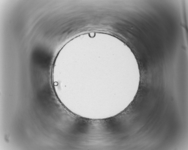 X0000103901520200810031137