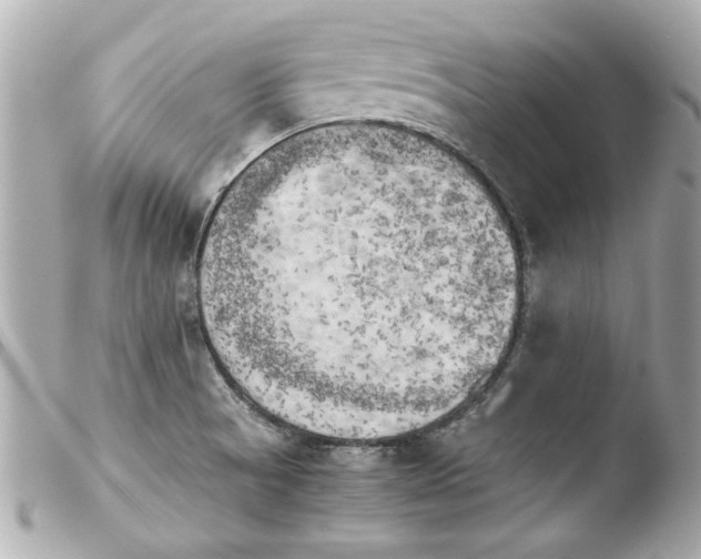 X0000103901521200810031137