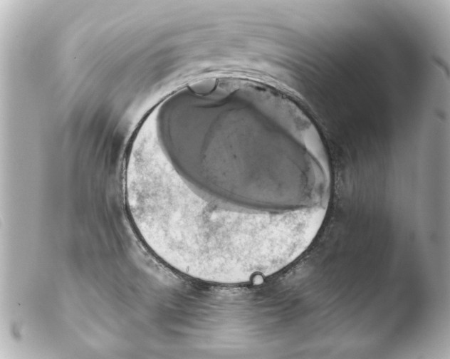 X0000103901522200810031137