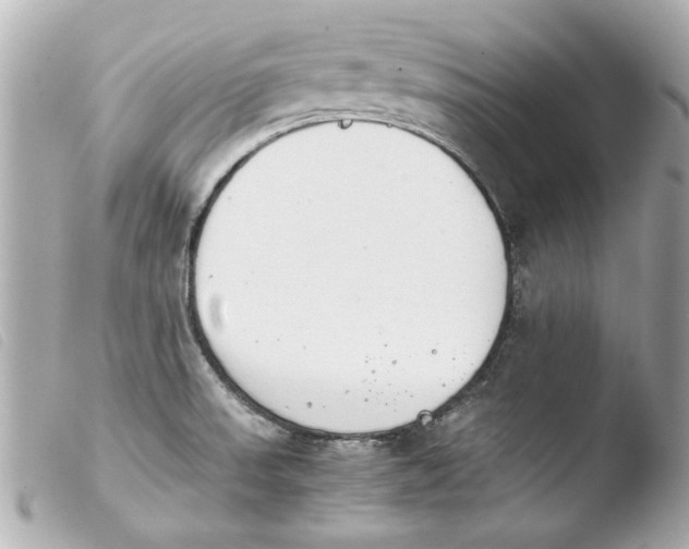 X0000103901523200810031137