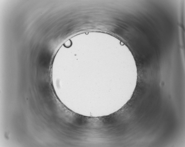 X0000103901524200810031137