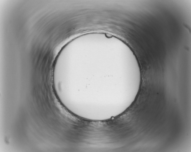 X0000103901526200810031137