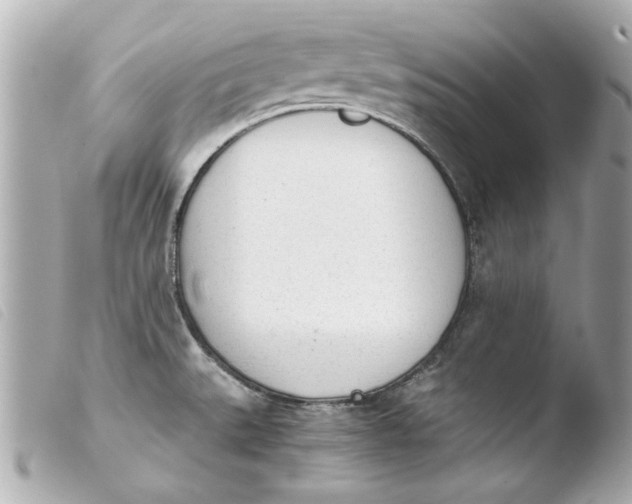 X0000103901527200810031137