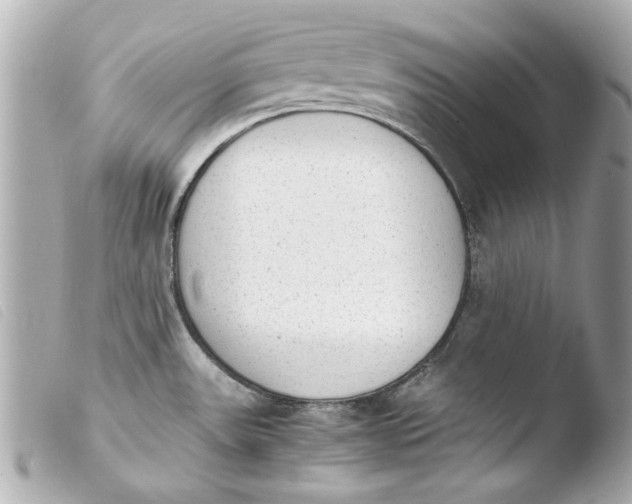 X0000103901531200810031137