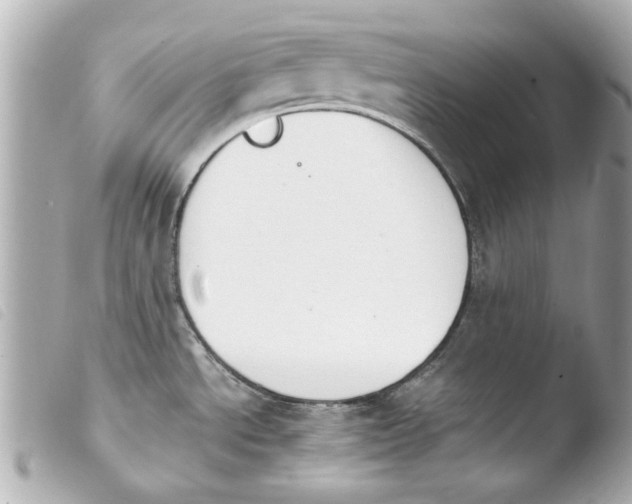 X0000103901534200810031137