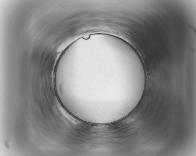 X0000103901535200810031137