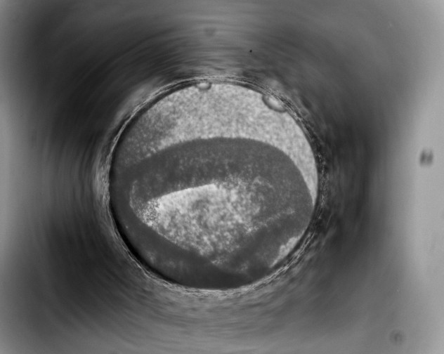 X0000103900002200810101256