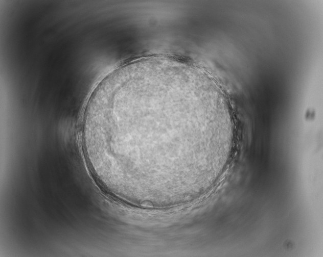 X0000103900003200810101256