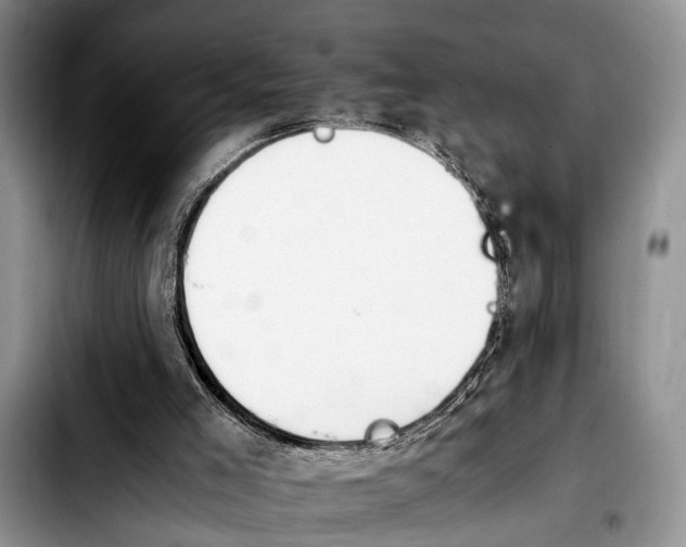 X0000103900005200810101256