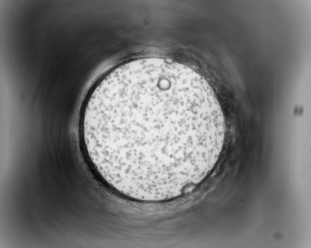 X0000103900006200810101256