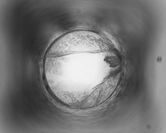 X0000103900011200810101256