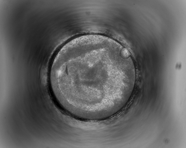 X0000103900012200810101256