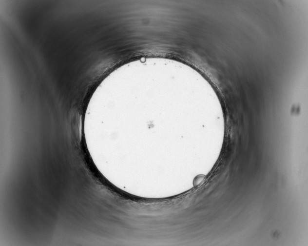 X0000103900013200810101256