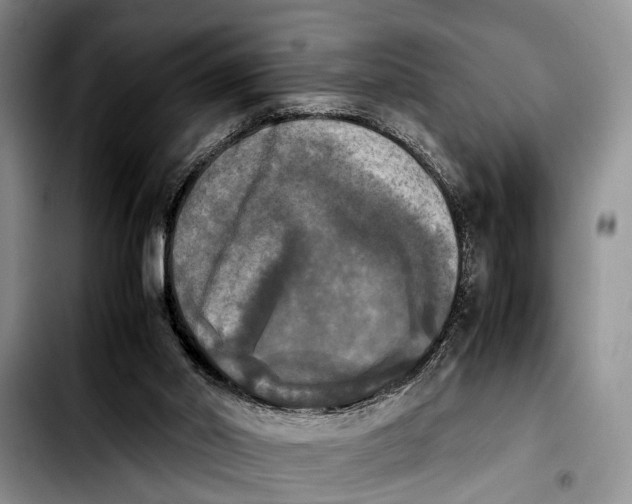 X0000103900014200810101256