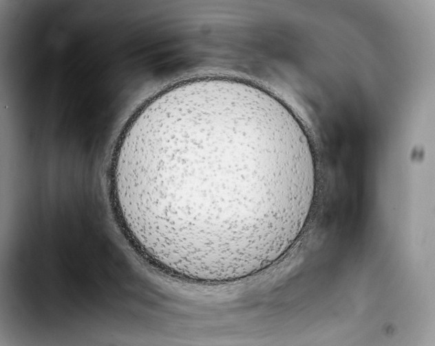 X0000103900015200810101256