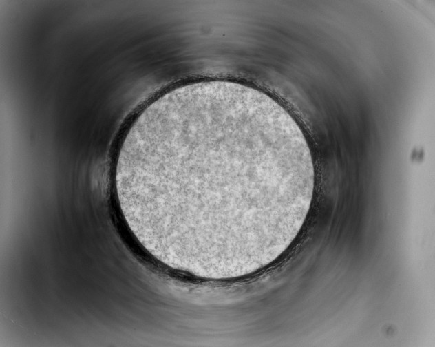 X0000103900016200810101256