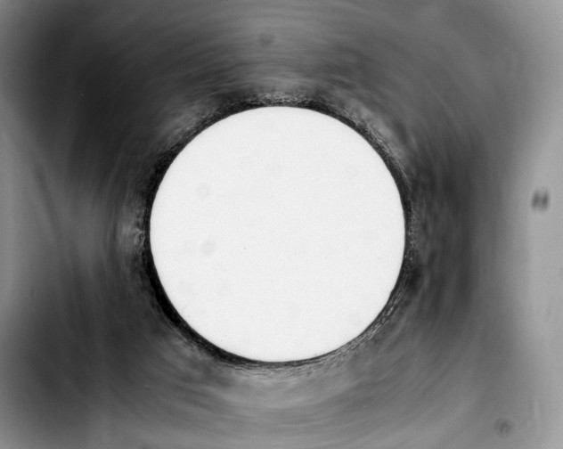 X0000103900017200810101256