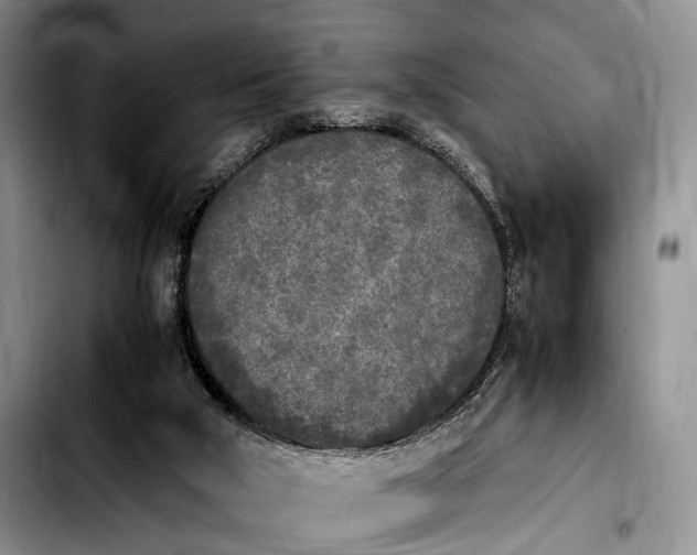 X0000103900018200810101256