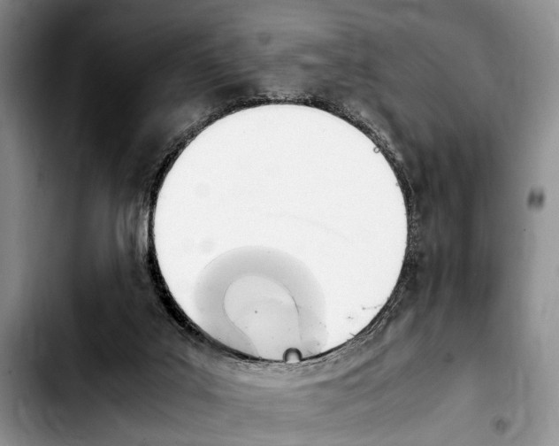 X0000103900019200810101256