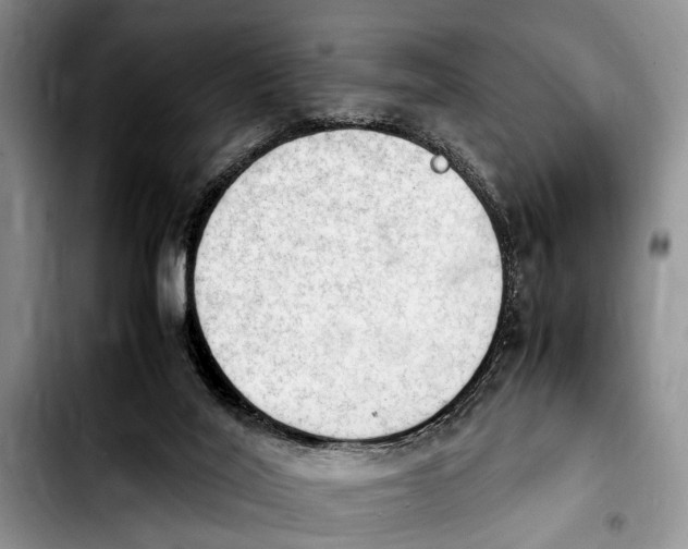 X0000103900020200810101256