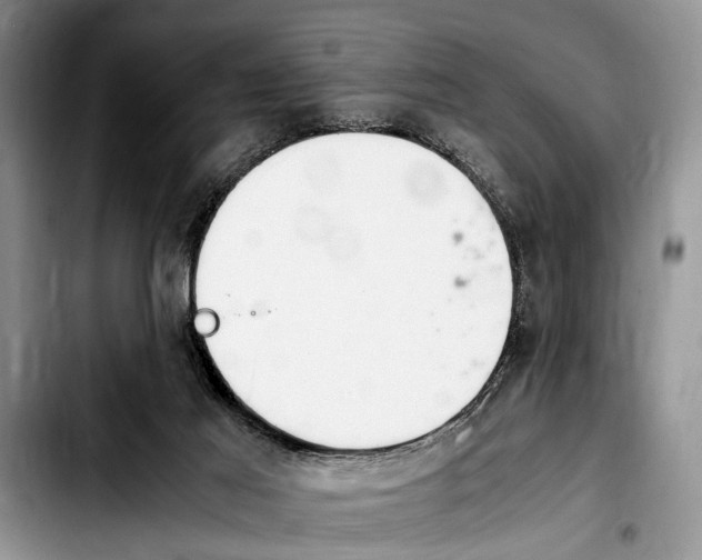 X0000103900021200810101255