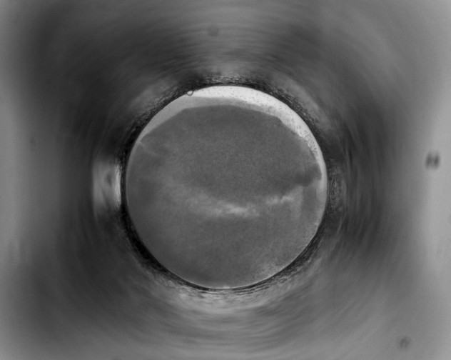 X0000103900022200810101255