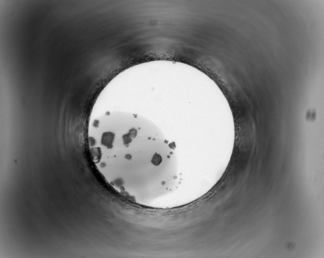 X0000103900023200810101255